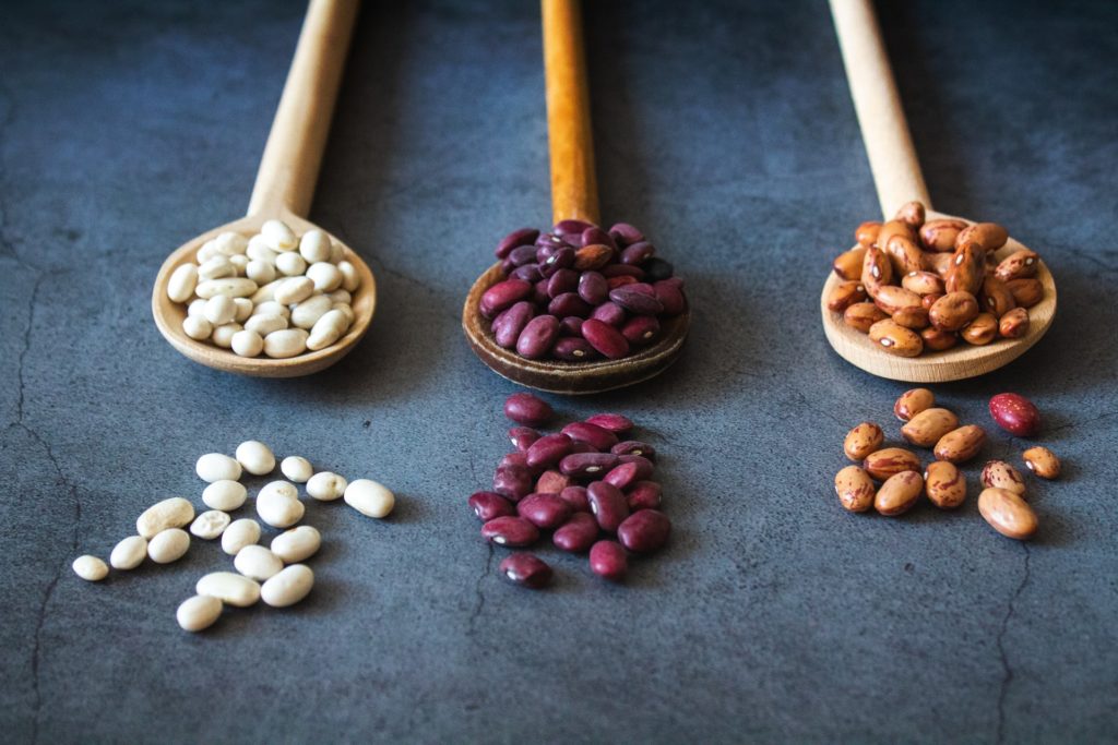 A picture of beans, a source of plant based protein
