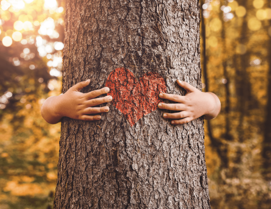 An image of a person hugging a tree