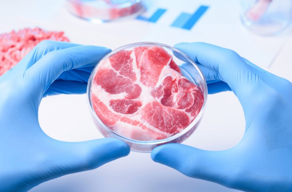 An image of lab grown meat