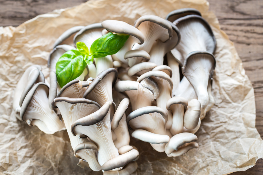 an image of vegan oyster mushrooms