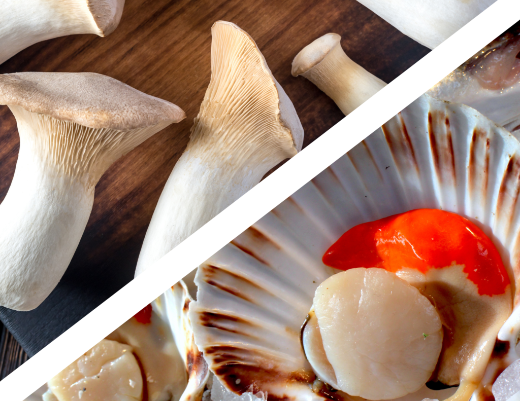 An image of king oyster mushrooms and sea scallops